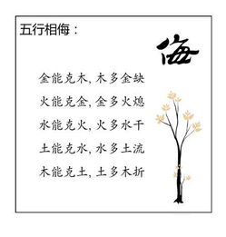 命理天干与五行关系详解(天干地支与五行的关系 )