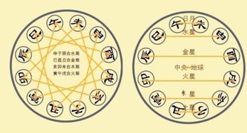 命理天干五行秘密详解视频(八字命理排盘 三  天干地支阴阳五行属性详解)