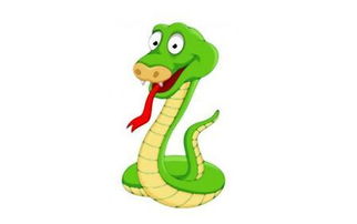 命理属蛇人的婚姻状况(属蛇一生有几次婚姻,属蛇人婚姻一般有几婚)