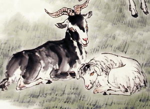 命理师说67年的羊是什么(1967年属羊是什么命)