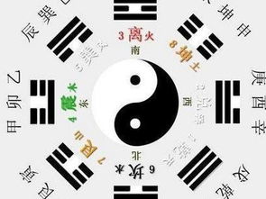 命理带华盖的女人婚姻好不好(女命,双华盖,请大家帮我看看姻缘如何)