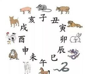 命理数四婚姻(右手有四条婚姻线的女人是什么意思)