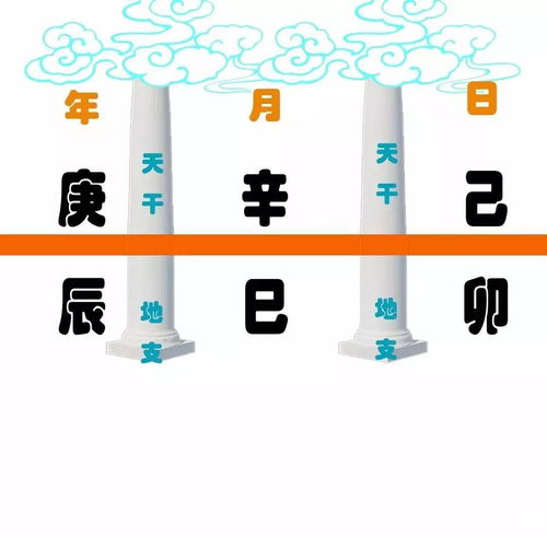 命理看年干还是日干看年支(在八字里年支重要,还是日干重要 )