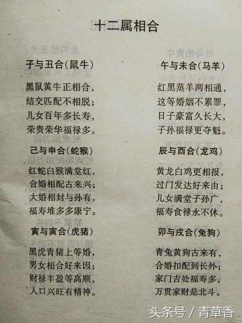 命理看配偶婚姻准吗女生(用八字看姻缘准不准的,八字测婚姻真的有那么准吗 )