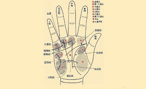 命理讲解男命婚姻方位详解(八字夫妻星怎么找,男女婚姻方向及八字配婚谁能教教我 )