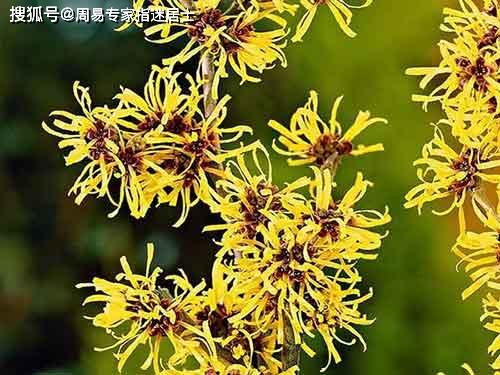 婚姻不稳八字命理分析女(大师。帮我算算和我女朋友八字)