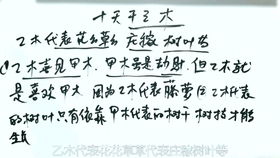 婚姻命理案例解析大全视频(八字婚姻命理分析100例,请高人分析八字 重点是婚姻,财运 )
