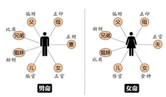 婚姻的八字命理分析(八字命运 盲派命理看婚姻)