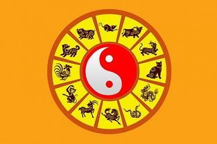 属兔人五行命理属性表大全(生肖兔的五行到底属什么)