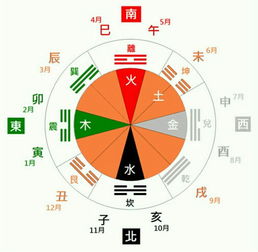 属猴女五行命理详解图(属猴的年份是哪几年,各年份命运大解析 )