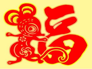 属鼠人的命理如何化解婚姻(夫妻属相不合的化解方法)