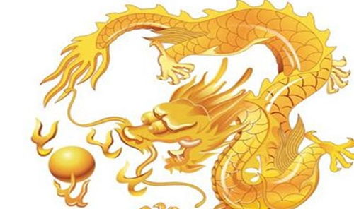 属龙1976年命理如何(1976年属龙的命运,1976年属龙的人的一生运气好吗)