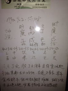 庚戌年丙戌月戊子日丁巳时命理(戊子日出生哪个时辰好 )