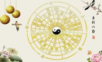 张一茜五行属什么命理属性(茜的五行属什么)