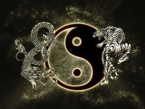 总格和人格的五行命理(天格地格人格与五行)