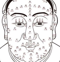 星座命理面相详解男人婚姻(克老婆的男人面相有什么特征)