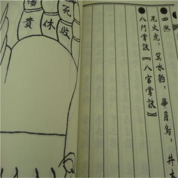 最简单的命理手册书籍有哪些(八字命理最好书籍什么八字预测书籍最好)