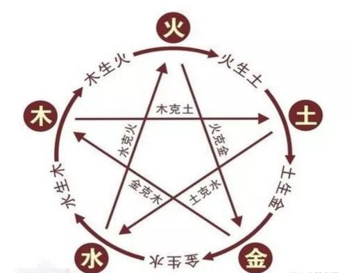 生肖五行和命理五行的关系(12生肖与五行之间的关系 )