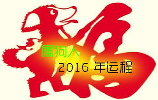 生肖狗82年生的命理(1982年出生的属狗人是穷苦命吗,几月出生命最好 )
