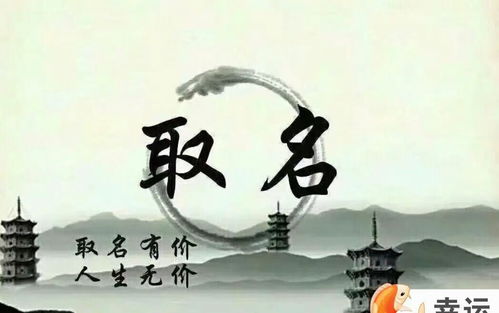 癸亥生于巳月命理详解五行(请高人,大师帮忙看八字)