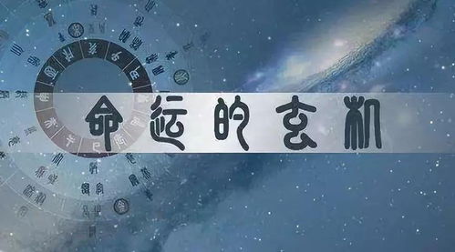 癸年命理1000(癸丑年庚申月戊子日甲寅时八字命理)