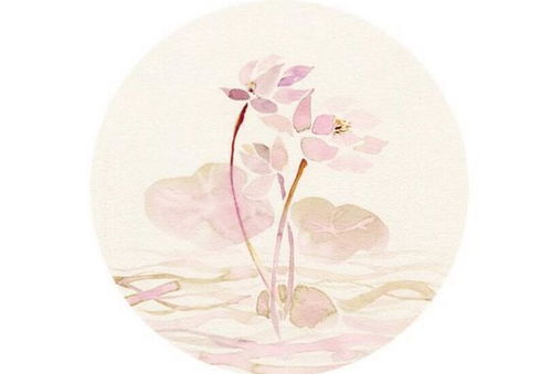 癸酉年甲寅月命理(癸酉年甲寅月戊辰日癸丑时女命,想问财运婚姻)