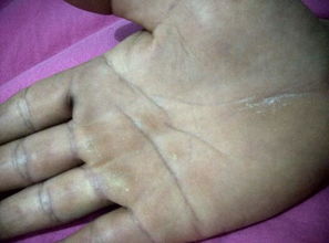 看手相如何命理分析婚姻(女生婚姻幸福的手相特点分析)