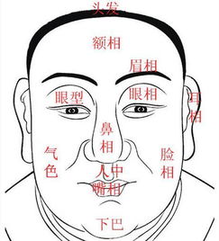 面相五行五德是什么命理(什么是五德 )