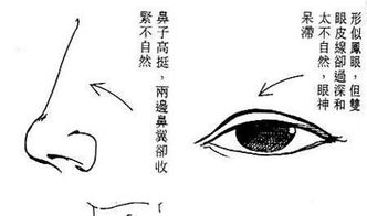 面相五行命理图解女命(好命的女人面相分析一下 )