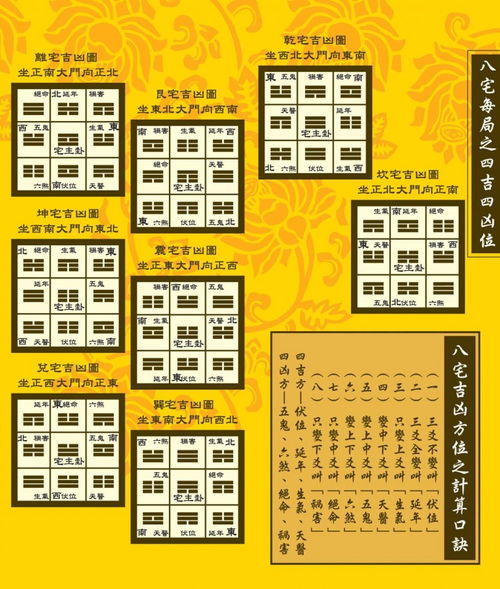 风水命理名词解释大全书籍(风水名词解释)