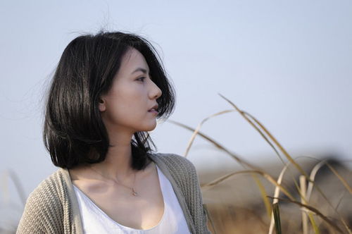 高圆圆命理婚姻详解(有没有高人算一挂高圆圆的姻缘 )