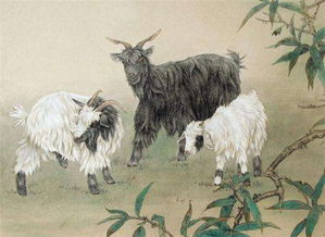 麻衣神属羊67年7月命理(1967年属羊的是什么命五行,1967年属羊几月命好)