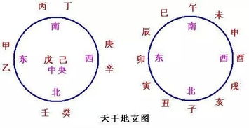天干地支全阳八字算命(八字天干地支怎么看)