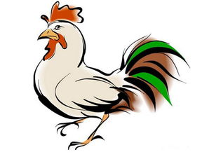 一家四口属相配对表马鸡(十二生肖属相婚配大全属马和属鸡,属马和属鸡的合不合)