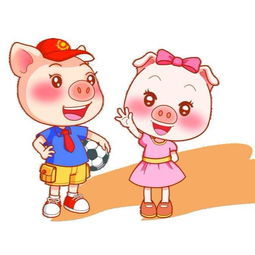 属猪男和什么配最佳婚配属相(属猪男最佳婚配是什么属相)