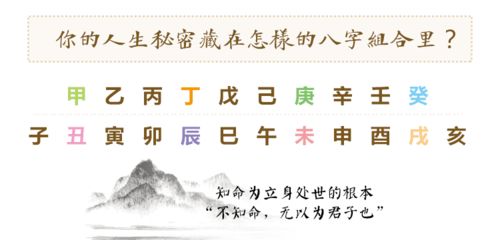 周易八字算命平台(卜易居生辰八字,如何查询生辰八字)