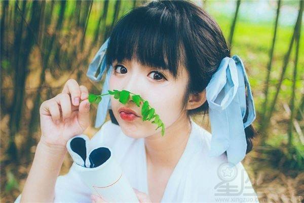 生肖狗最配工作属相(属狗的和什么生肖做生意最好啊)