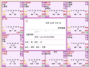 南方紫微斗数排盘软件(紫微斗数算命软件)