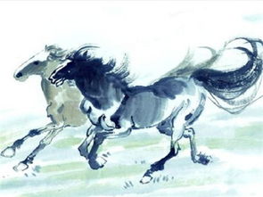 78年生肖马婚配属相(78年女配偶是什么属相好,78年属马的和属什么的比较相配)