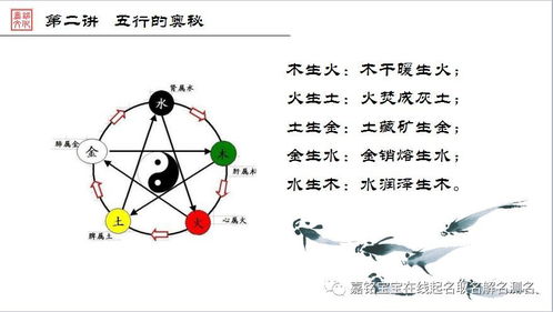 数理五行相生相克怎么看(五行相克 相生是什么)