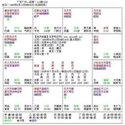 紫微运先天命盘生天命盘(紫微斗数入门,紫微命盘各命宫详解 )