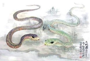 最佳婚配属相女蛇男猪(女蛇男猪婚姻是否相配)