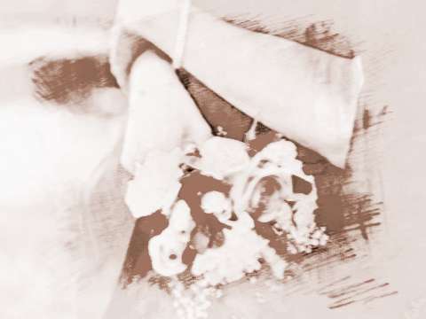 丙辰日柱的命理如何看婚姻(丙辰月丙辰日出生八字解析)