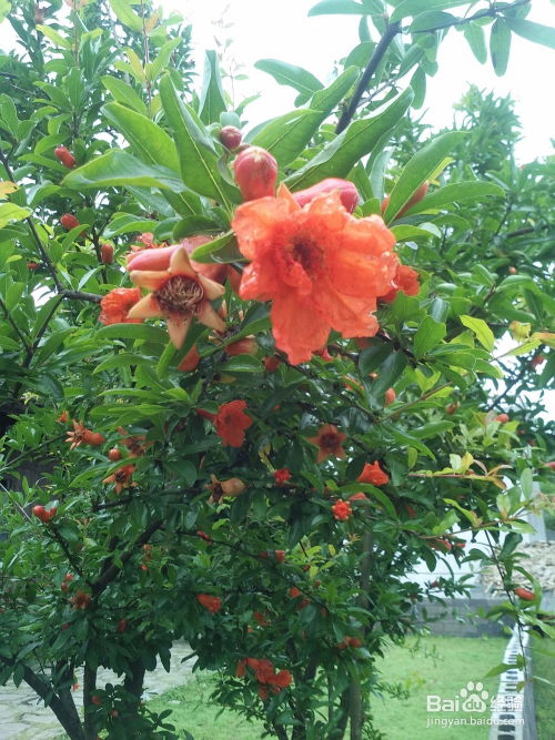 黄姓最好的五格数理起名(黄姓最好的五格数理)