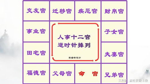 电脑版紫微斗数排宫软件免费(紫微斗数排盘详解)