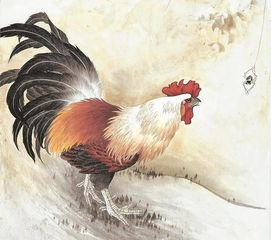 属相的配对马和鸡相配吗(属马和属鸡的合不合)