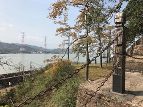 男生信生辰八字算命(生辰八字准不准)