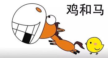 同属相不合的生肖有哪些(十二生肖相冲生肖中最不合适配对的是哪些生肖)