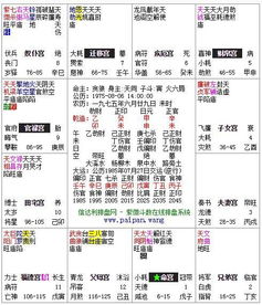 紫薇命盘与八字算命哪个好(紫微斗数与八字相比哪个准确率更高)