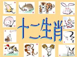 男蛇匹配的生肖是什么属相(蛇男和什么属相最配)